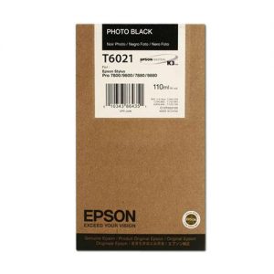 Epson T602100 Original Photo Black Ink Cartridge