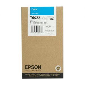 Epson T602200 Original Cyan Ink Cartridge